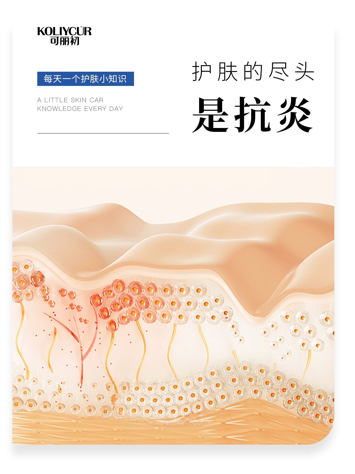 皮肤永远是先健康后美丽