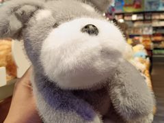 -酷乐潮玩(五道口购物中心店)