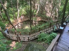 -大岭沟猕猴桃谷风景区