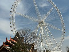 -祥源·阜阳生态乐园