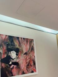 -四川米兰柏羽医学美容医院