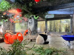 -海南热带野生动植物园