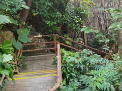 -海南槟榔谷黎苗文化旅游区