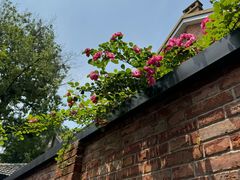 -金良酸菜鱼(宁海路总店)