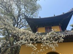 -普陀山风景名胜区-法雨禅寺