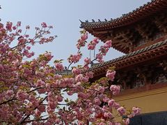 -洛阳白马寺
