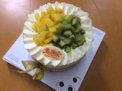 -维尔纳斯·生日蛋糕·动物奶油冰淇淋蛋糕(六里桥店)