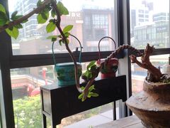 -道南書院·私房菜·早午茶·茶馆