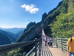 -武陵山森林公园