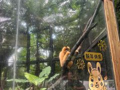 -海南热带野生动植物园