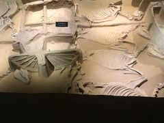 -洛阳周王城天子驾六博物馆