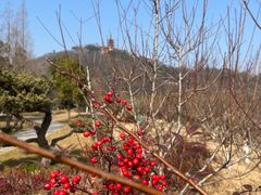 -狼山风景名胜区