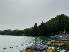 -天鹅湖体育公园