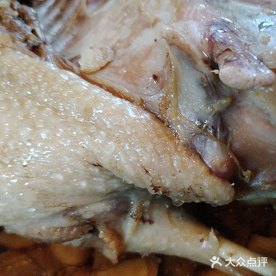 鑫坞堂·姜母鸭现抽真空(民族路可停车店)