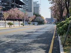 -福田红树林生态公园
