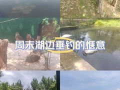 -沈阳鸟岛