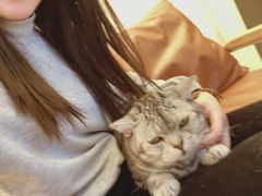 -猫友咖啡店(玉林西路店)