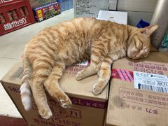-玉华饮食店(茅台路店)