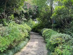 -杭州半山国家森林公园