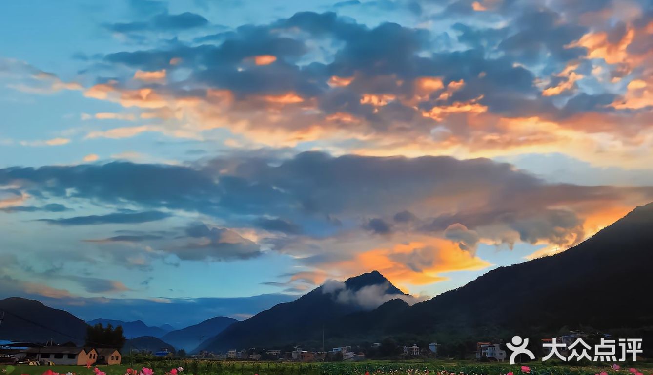 特别是他们家的法式焗生蚝，简直是海鲜爱好者的天堂
