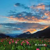 特别是他们家的法式焗生蚝，简直是海鲜爱好者的天堂