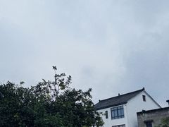 -东梓关景区村庄