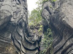 -梭布垭石林景区