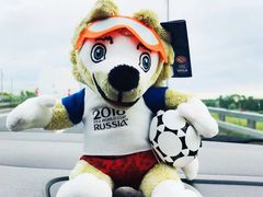 -谢列梅捷沃国际机场