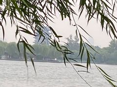-济南大明湖景区