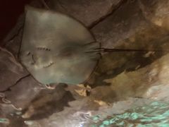 -锦艺城海洋馆