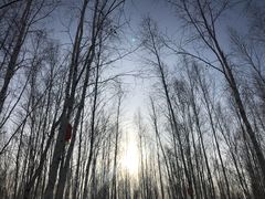 -北极村旅游风景区