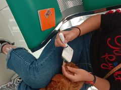 -乖乖乐动物医院(小汤山分院)