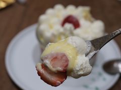 -猫里有甜