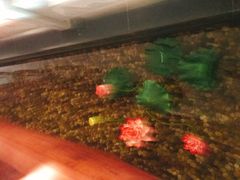 -碧露轩·大益茶体验馆(镇江路店)