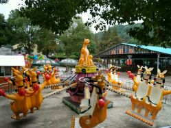 游乐设备-东山游乐园