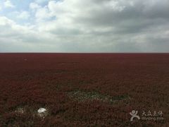 -红海滩国家风景廊道