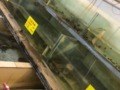 -喜洋洋蟹庄(阳澄湖店)