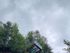 -峡谷浮石林景区