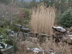 -十里长山生态农业公司