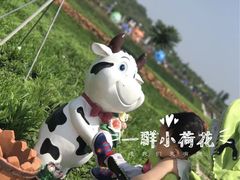 -君乐宝优致牧场