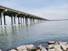 -宝安西湾红树林湿地公园