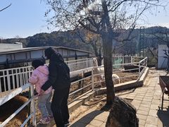 -丽泽山庄·生态怀柔菜·虹鳟鱼(红螺寺店)