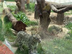 -青藏高原野生动物园