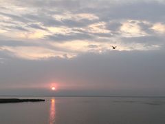 -卧龙湖
