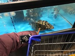 -麦德龙(郑东店)