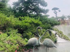 -罗红摄影艺术馆