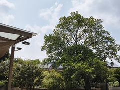 -大门水乡·顺德菜