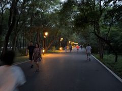 -北陵公园