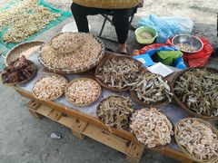 -汤山公园