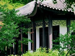 -红梅公园